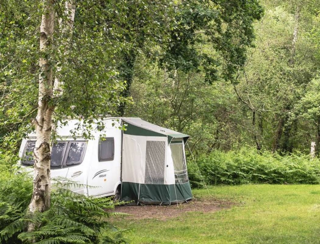 Graffham Club Site — Campingplass in Petworth