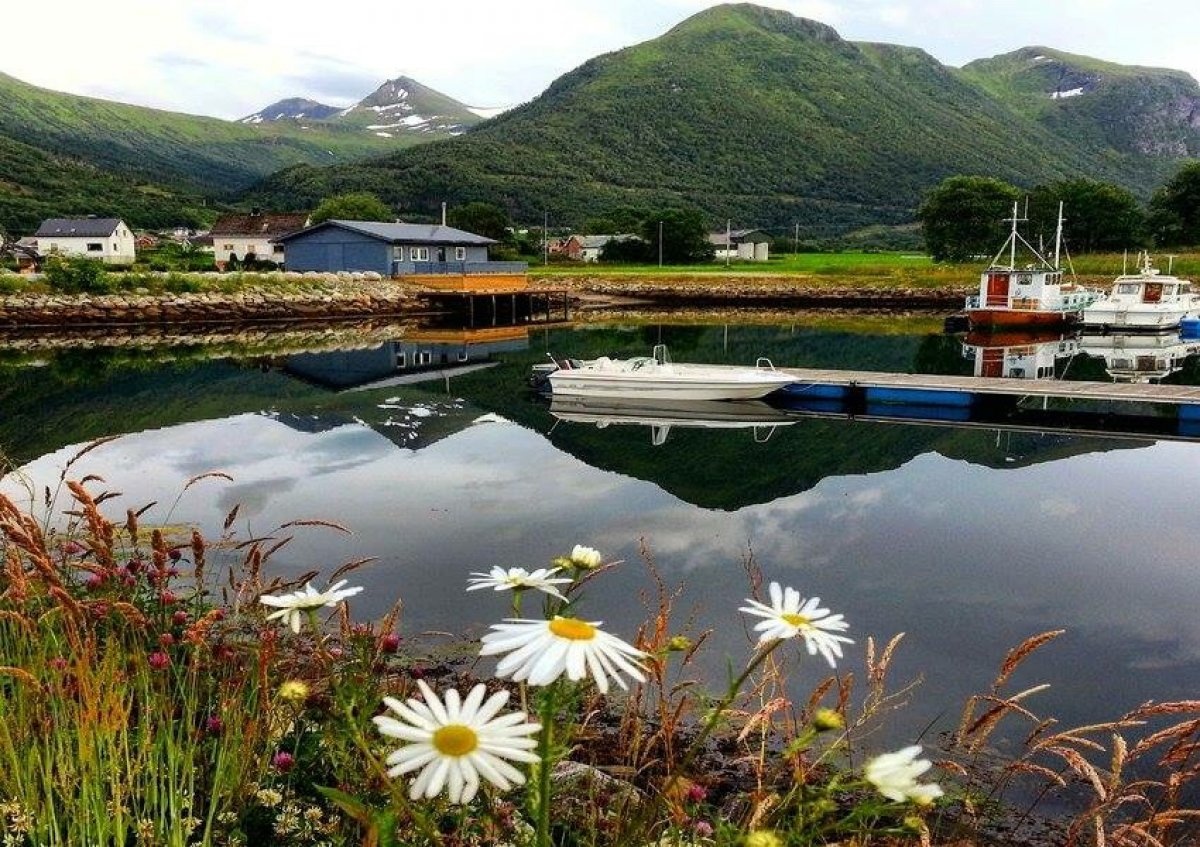 Notaplassen Hamn og Camping — Campervan Site in Syvde