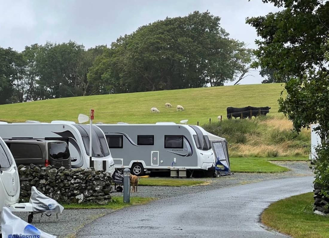 Coed-Y-Llwyn Caravan Club Site — Campingplatz in Blaenau Ffestiniog