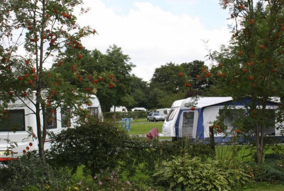 Blackshaw Moor Caravan and Motorhome Club Campsite — Cámping in Leek