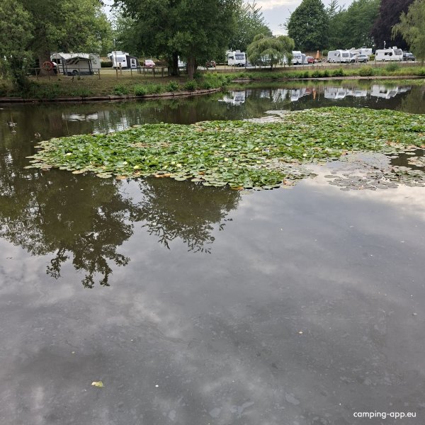 Stanmore Hall Touring Park — Photo 4