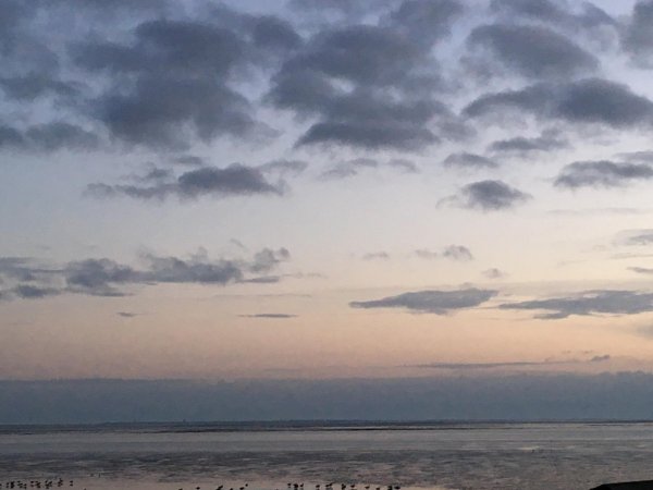 Neuharlingersiel — Photo 5