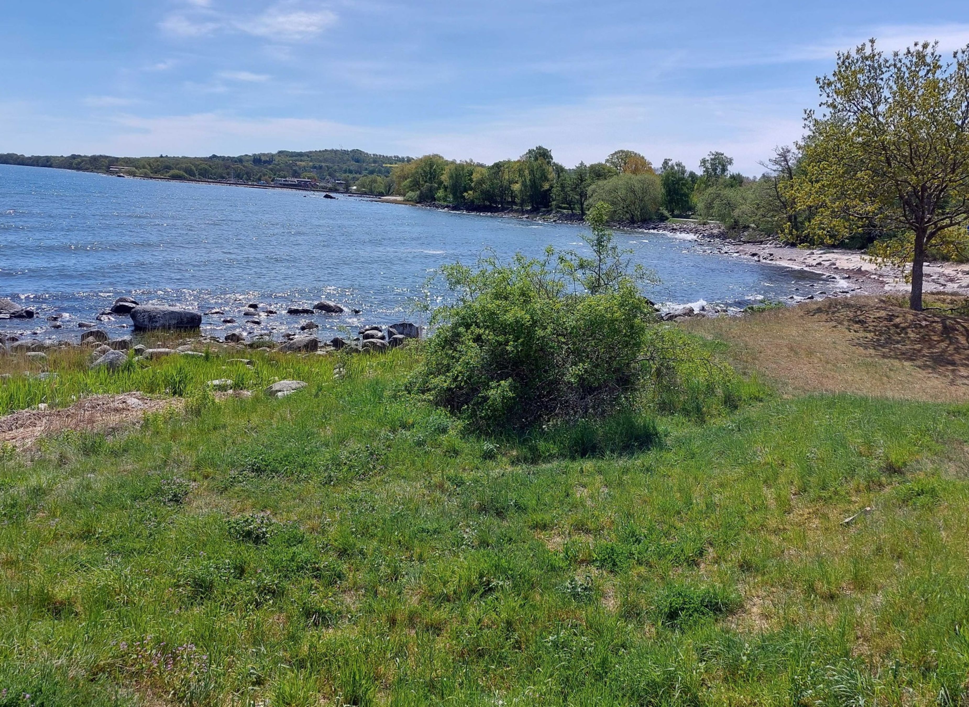 Kiviks familje camping — Cámping in Kivik