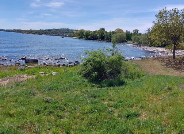 Kiviks familje camping