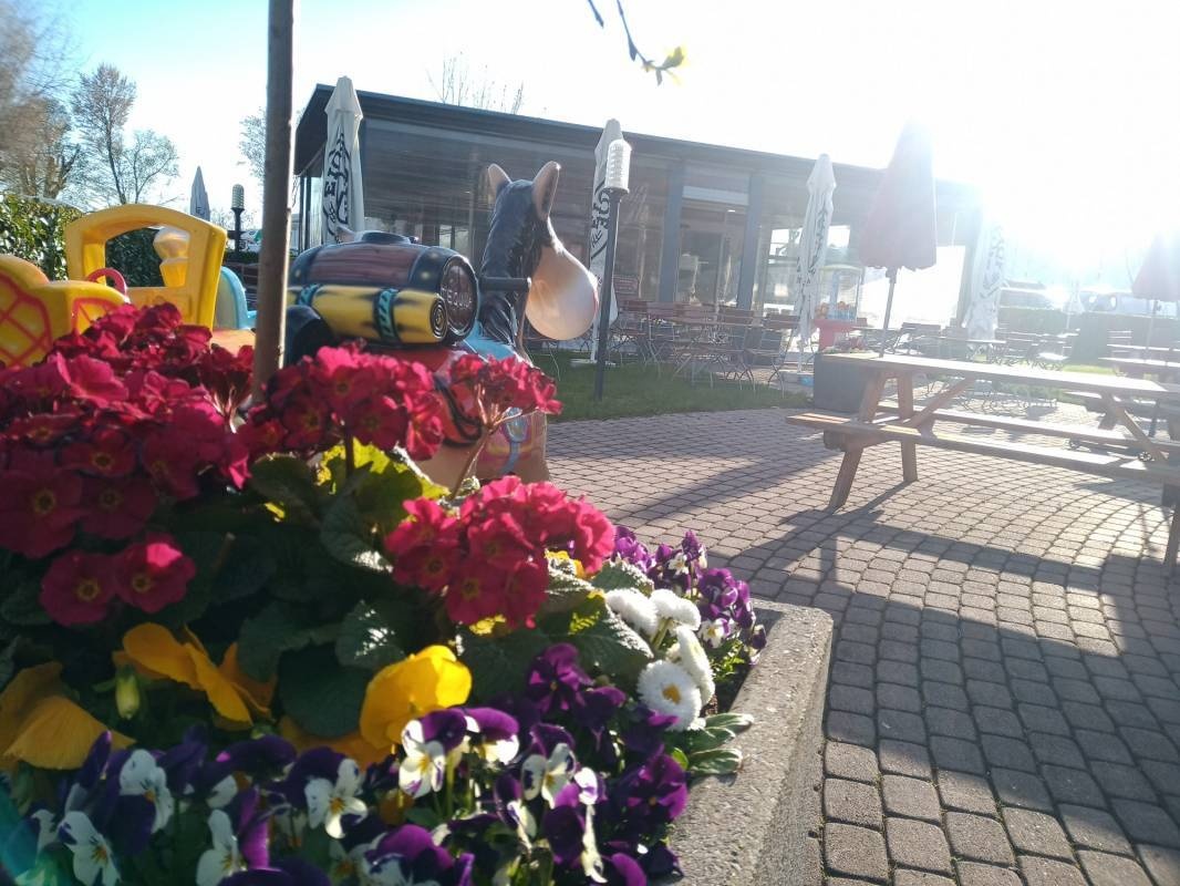 Camping des Pêches — Kemp in Le Landeron