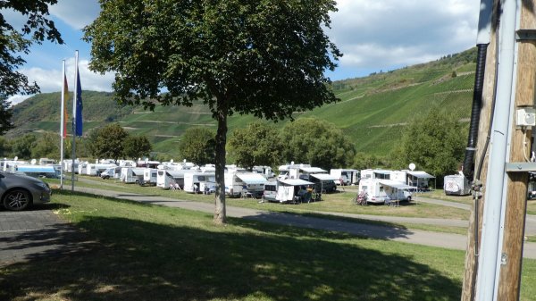 Stellplatz am Moselufer Lösnich — Photo 5