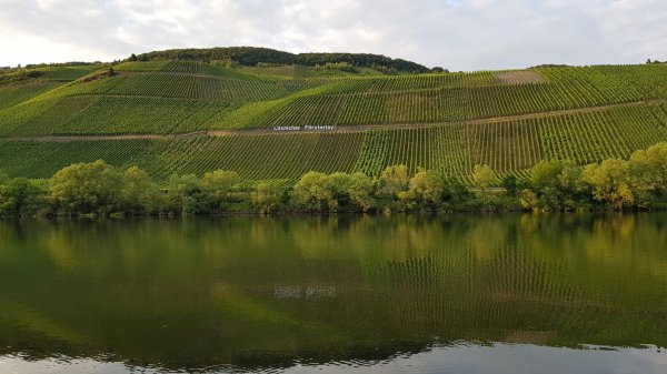 Stellplatz am Moselufer Lösnich — Photo 2