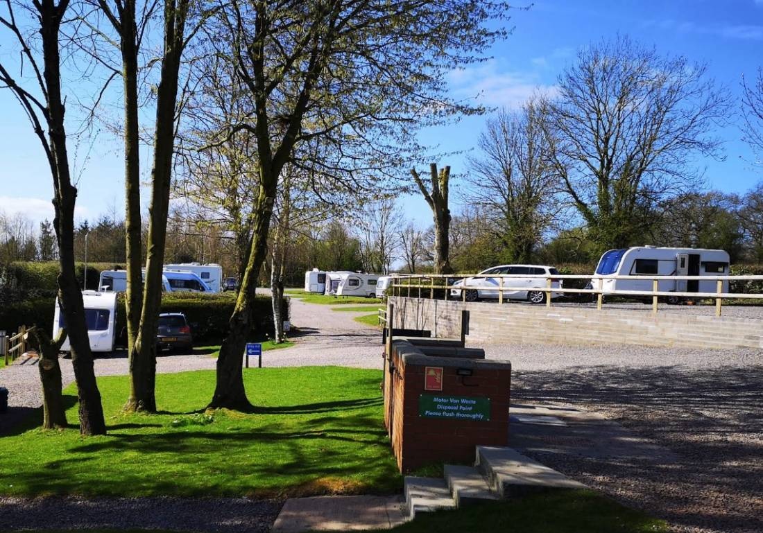 Minnows Touring Park — Cámping in Tiverton