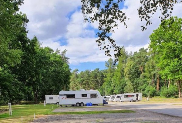 Thetford Forest Caravan and Motorhome Club Campsite — Foto 5