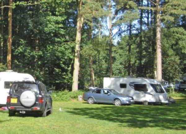 Thetford Forest Caravan and Motorhome Club Campsite — Photo 4