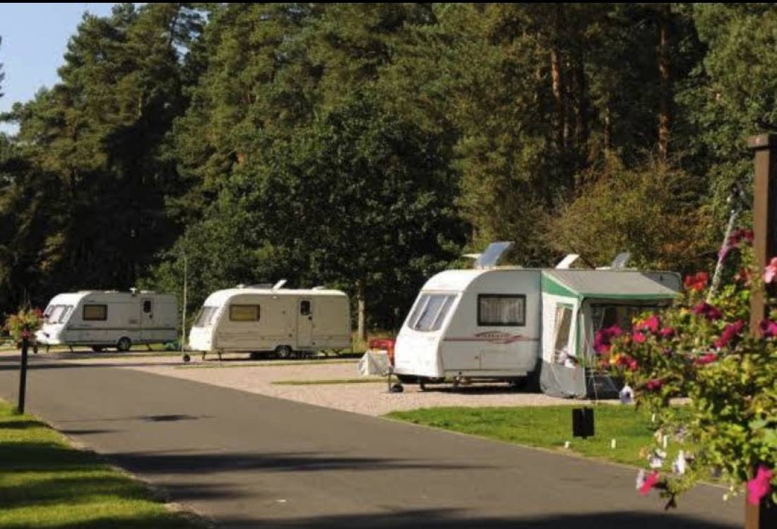 Thetford Forest Caravan and Motorhome Club Campsite — Camping in Thetford