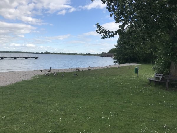 Stellplatz Ferienpark Seehof — QuickStop in Seehof