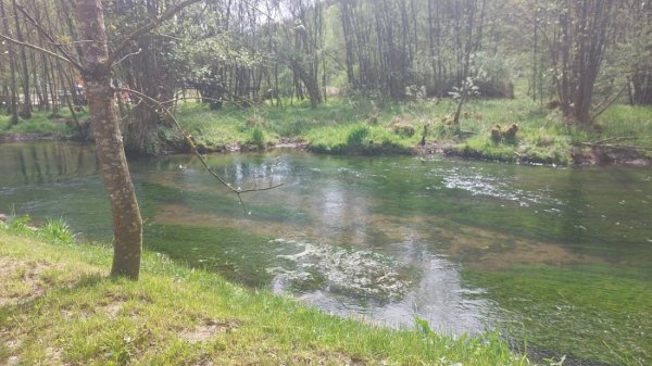 Campingplatz Bärenschlucht **** — Foto 5