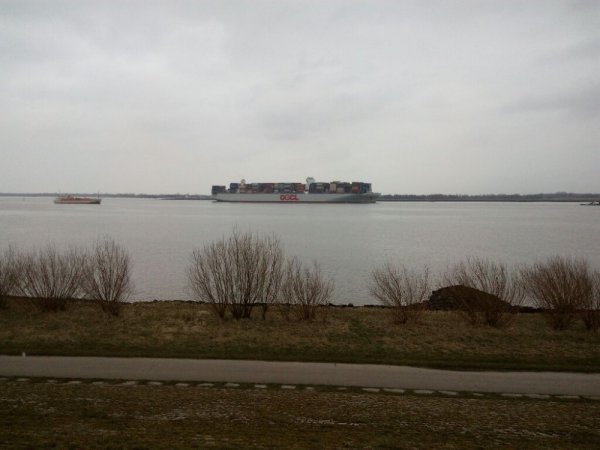 Stellplatz am Elbdeich Hollern-Twielenfleth — Photo 2