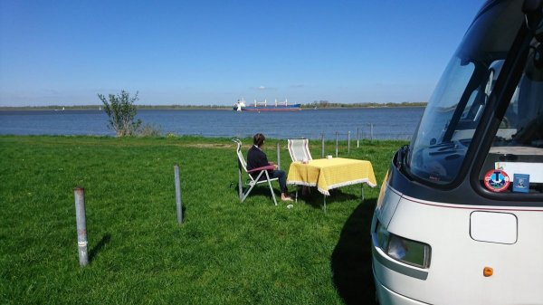 Stellplatz am Elbdeich Hollern-Twielenfleth — Photo 4