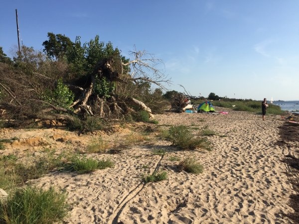 HaffCamp Boiensdorfer Werder — Campingplads in Boiensdorf