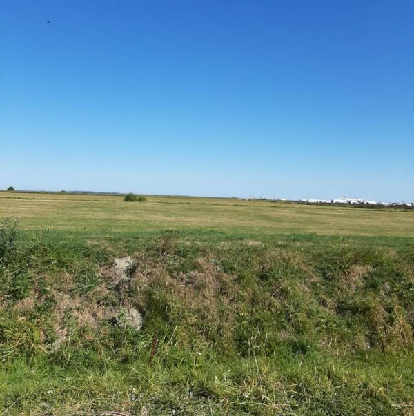 Wohnmobilstellplaz Nordseeblick — Photo 2