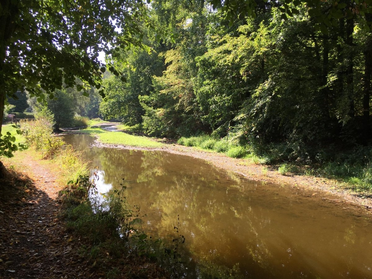 Naturcampingplatz An der Aumatalsperre — Sítio de acampamento in Weida
