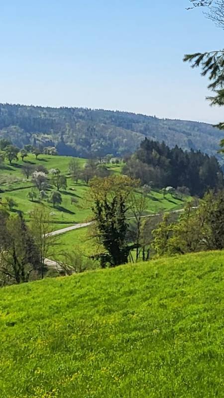 Hill Camping Kandern