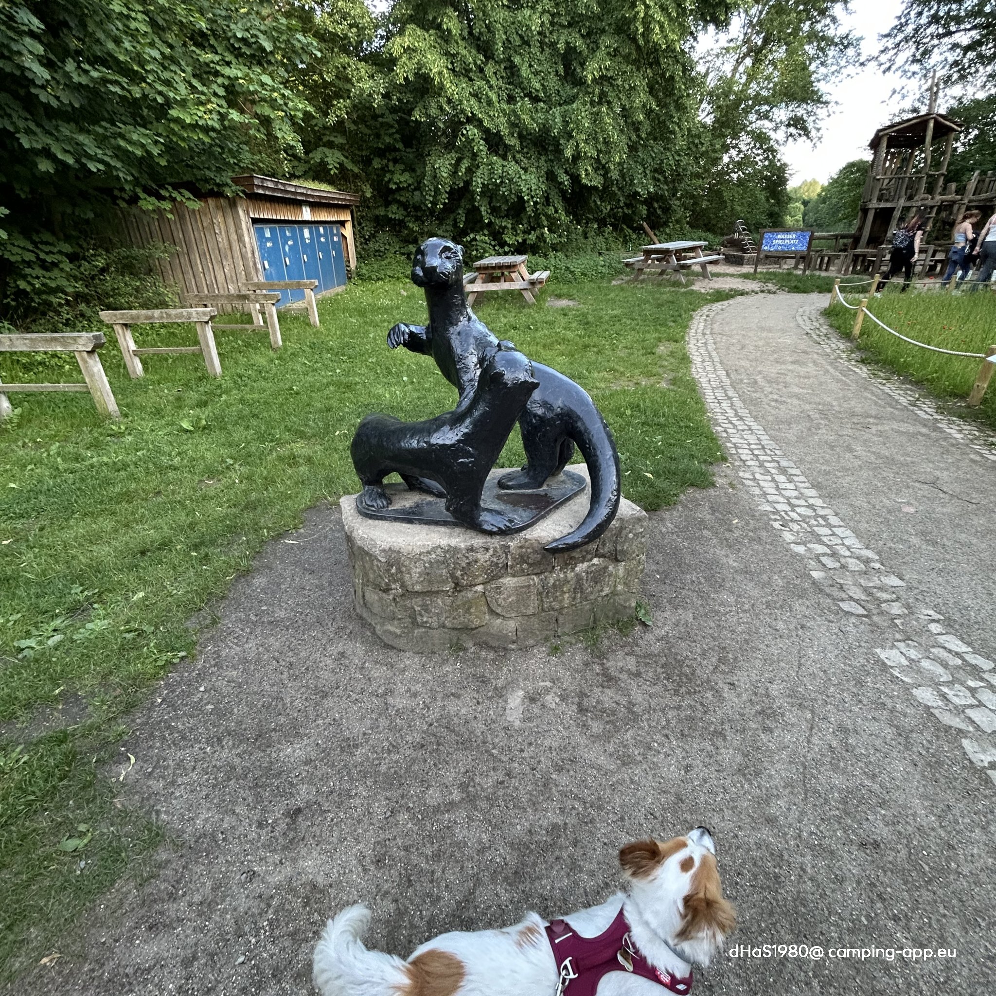 Stellplatz Am Bohldamm — Foto 2