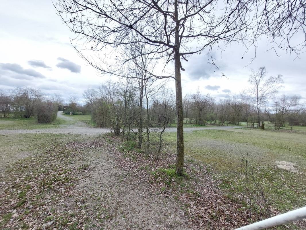 Campingplätze Blaue Adria — Campingplads in Altrip