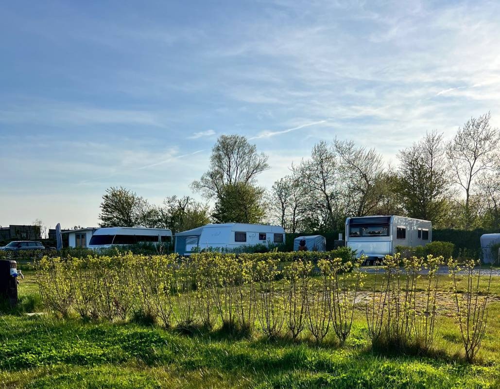 Campingplatz Mühlenhof — Cámping in Sylt Ortsteil Morsum