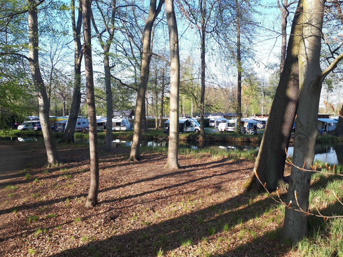Spreewald-Natur-Camping Am Schlosspark — Campingplats in Lübbenau/Spreewald
