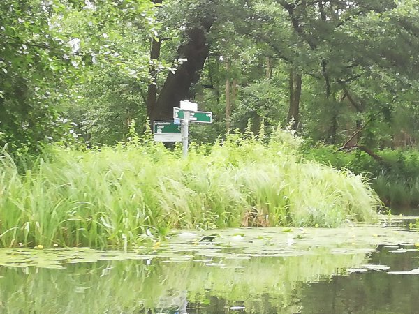 Spreewald-Natur-Camping Am Schlosspark — Photo 4