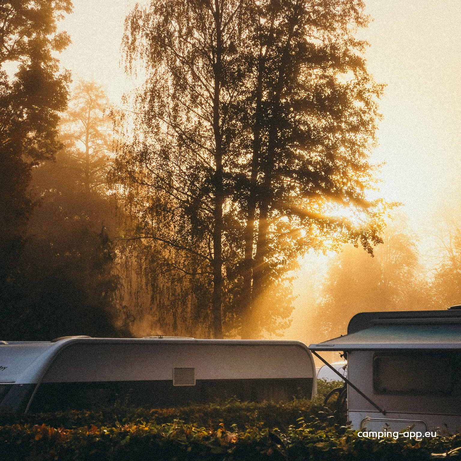 Spreewald-Natur-Camping Am Schlosspark — Foto 6