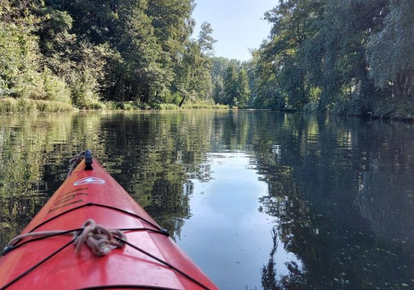 Spreewald-Natur-Camping Am Schlosspark — Photo 5