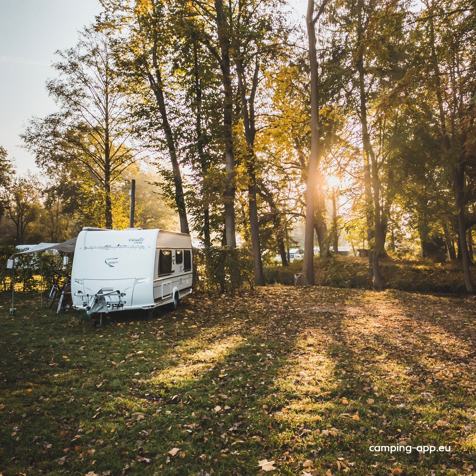Spreewald-Natur-Camping Am Schlosspark — Foto 4