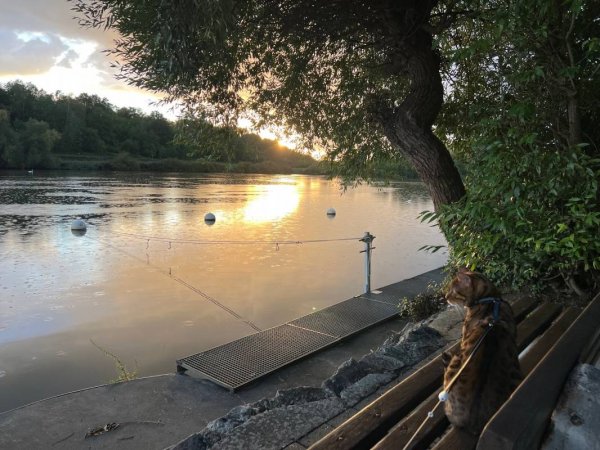 Campingplatz Ankergrund — Photo 5