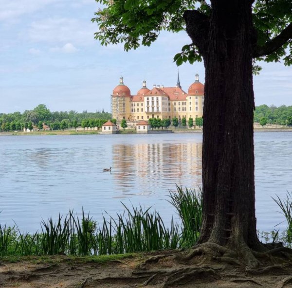 Campingplatz Carad am See — Photo 5