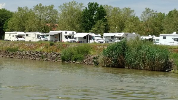 Stellplatz am Mainufer Dettelbach — Photo 4