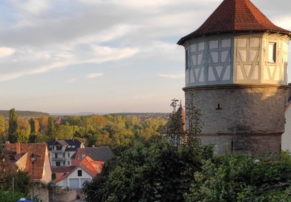 Stellplatz am Mainufer Dettelbach — Photo 6