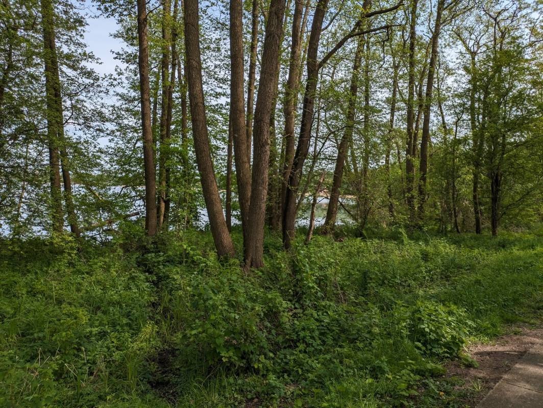 Campingplatz Idyll — Campingplats in Bornhöved