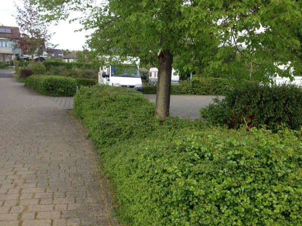 Stellplatz Mainbernheim — Photo 4