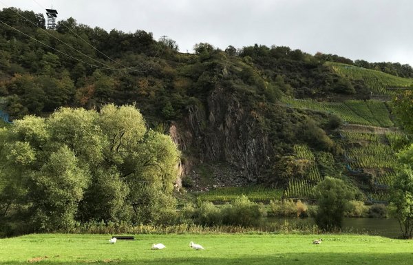 Moselland — Photo 2