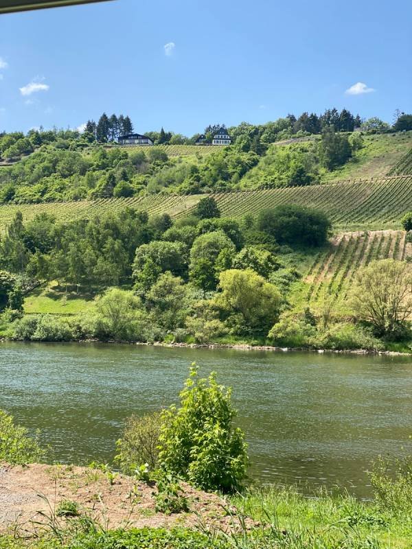 Moselland — Photo 4