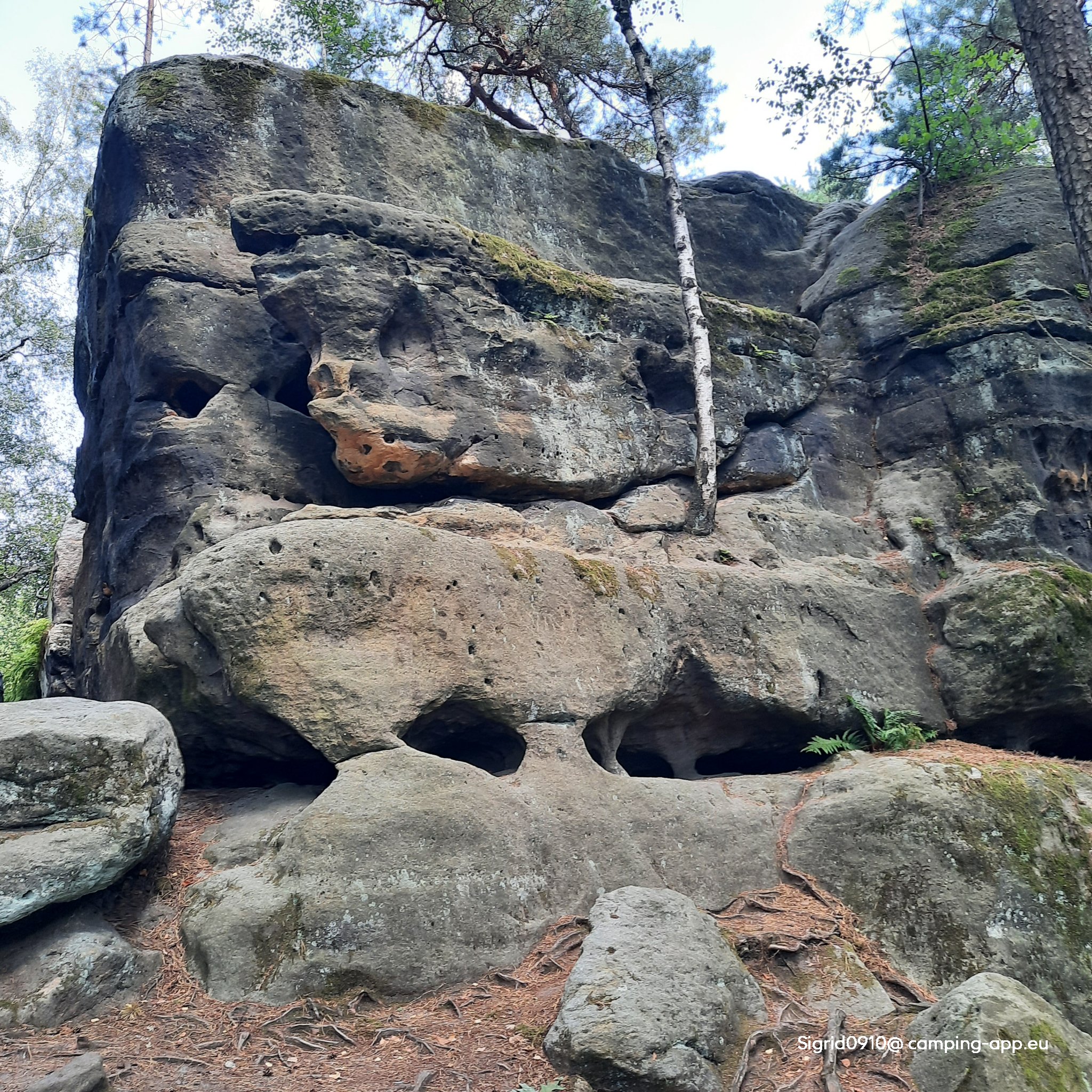 Campingplatz Nikolsdorfer Berg — Foto 3