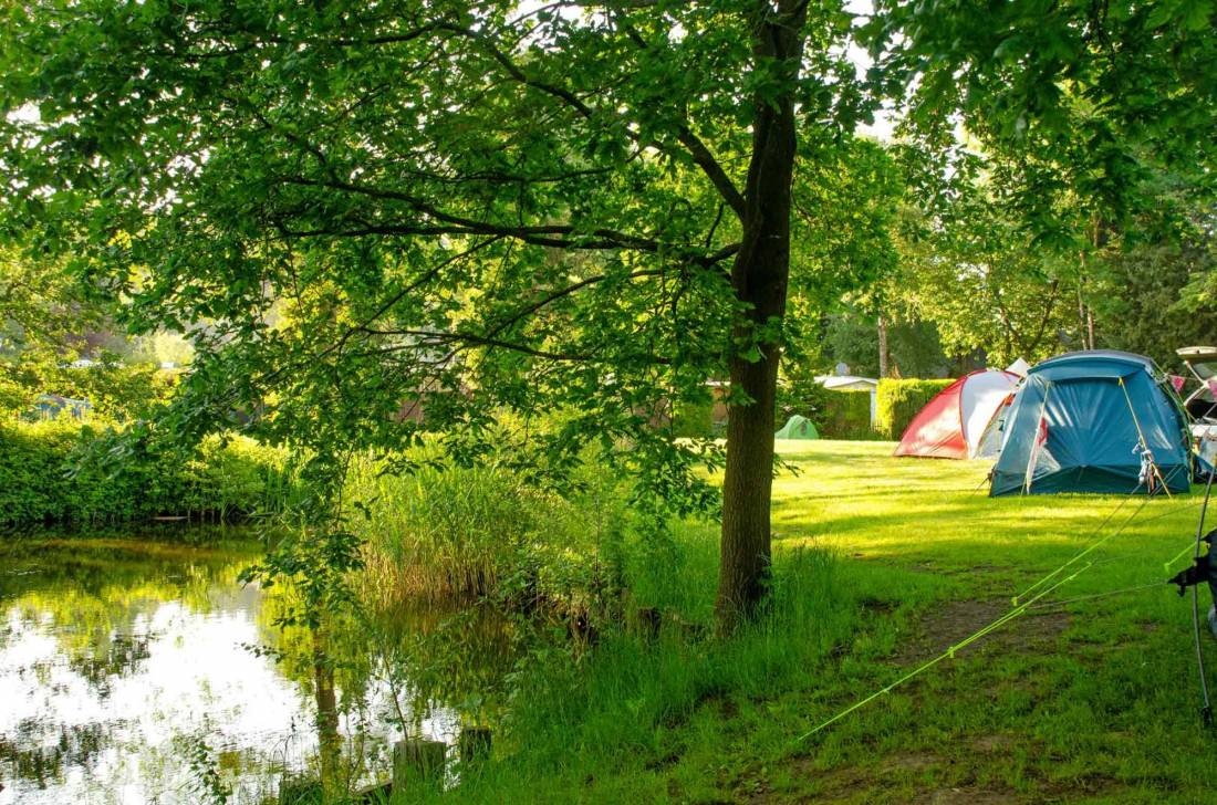 Stellplatz am Ferienpark Geeshof — Stellplatz in Hechthausen