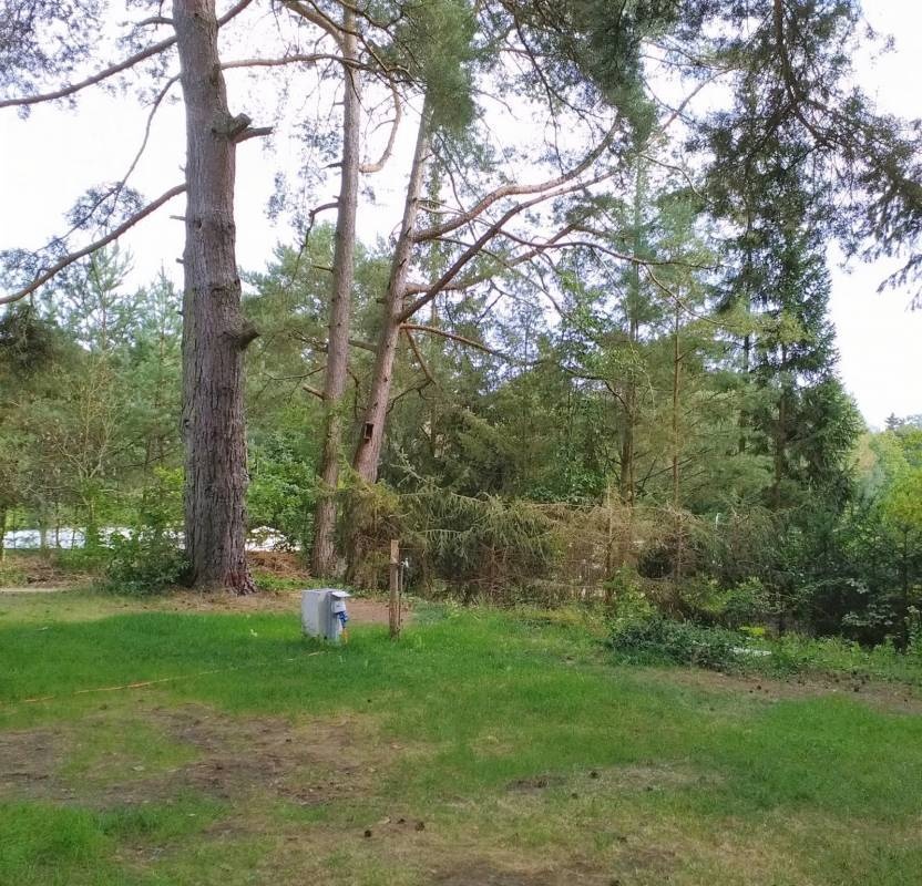 Wildwood Camping Uckermark — Kamp yeri in Lychen