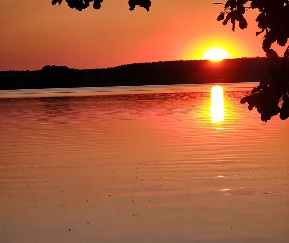 Camping36 (ehem. Naturfreund) — Kamp yeri in Kratzeburg