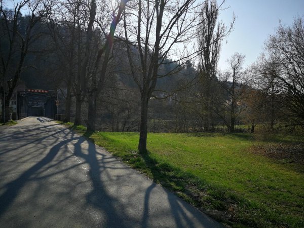 Bad Niedernau — Photo 2