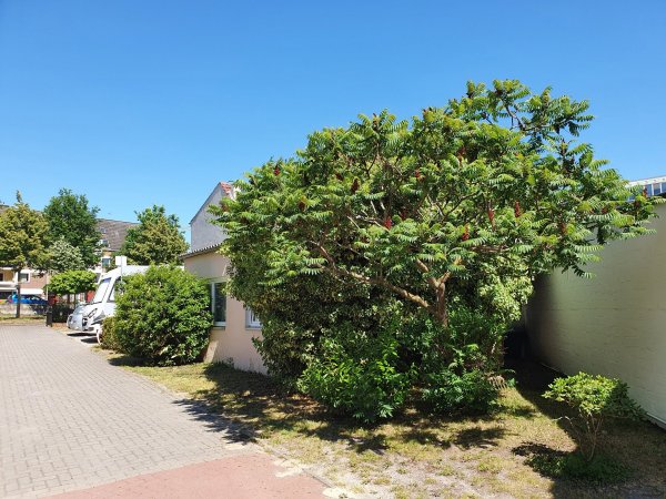 Wohnmobiloase Bremen — Foto 4
