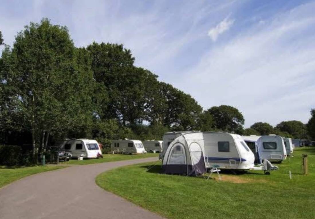 Club — Camping in Wareham