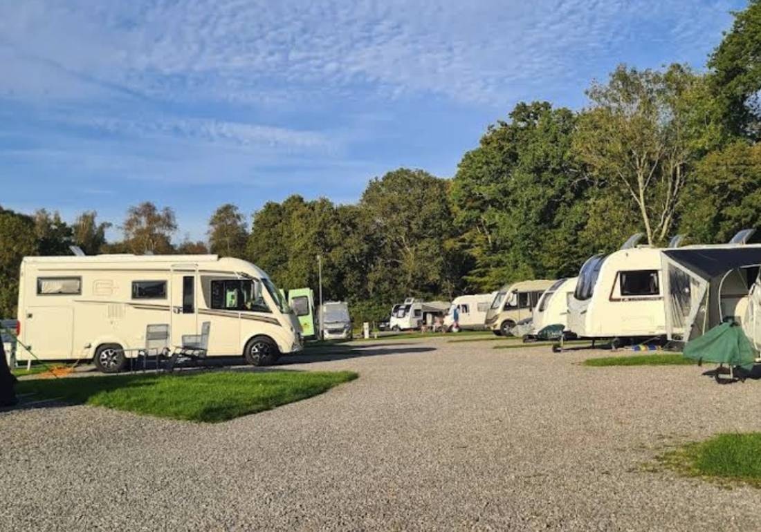 Motorhome — 露营地 in Brockenhurst