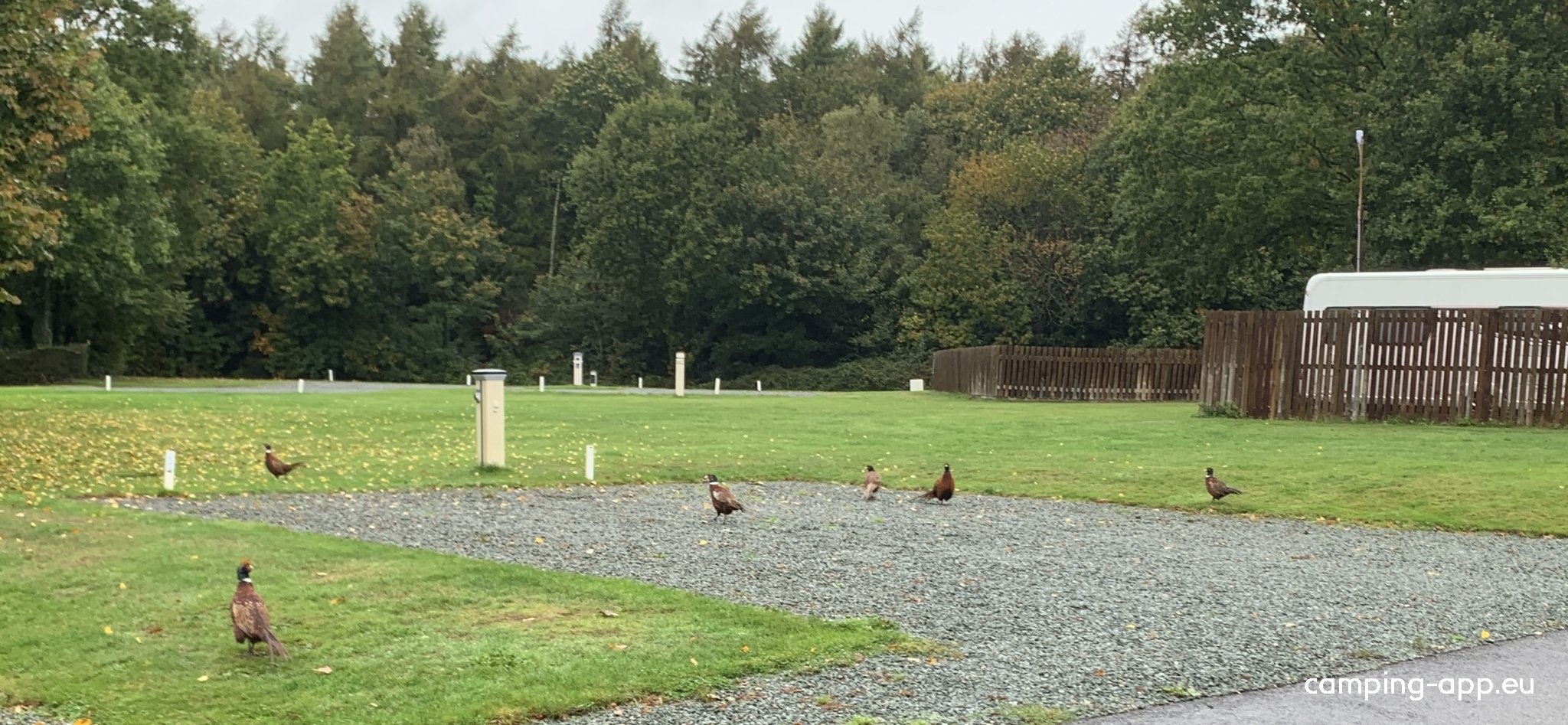 Rookesbury Park Caravan Club Site — Camping in Wickham, Fareham