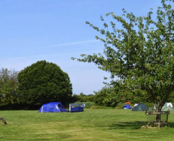 Ship & Anchor Marina Campsite — Фото 2