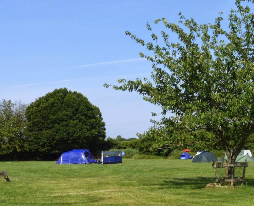 Ship & Anchor Marina Campsite — Camping in Ford